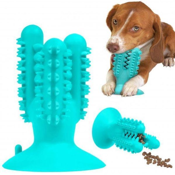 Іграшка "Кактус" для собак PetFun Dental на присосці синя 3_02851 фото