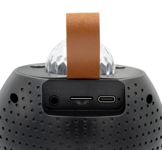 Bluetooth колонка Z1 для караоке с 2 микрофонами мощностью 5W Black 3_07051 фото