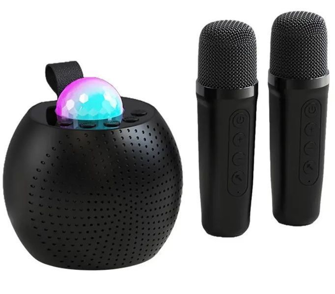 Bluetooth колонка Z1 для караоке с 2 микрофонами мощностью 5W Black 3_07051 фото