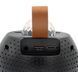 Bluetooth колонка Z1 для караоке с 2 микрофонами мощностью 5W Black 3_07051 фото 5