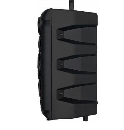 Колонка Goldteller GT-6020 30 Вт 1800 мАч для караоке в форме чемодана Black 3_00447 фото
