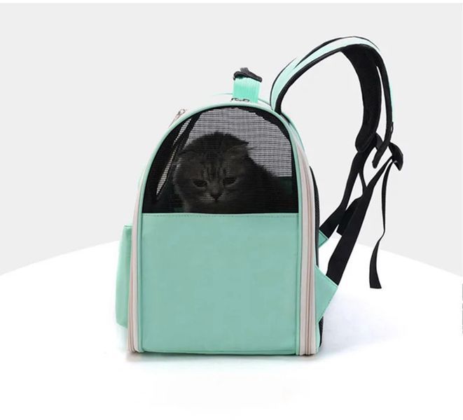 Переноска для домашніх улюбленців CosmoPet CP-65 зручна 37x24x32cm Mint 3_04939 фото