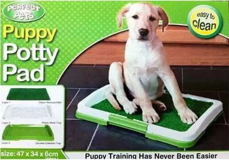 Собачий туалет Puppy Potty Pad зеленый 3_02760 фото