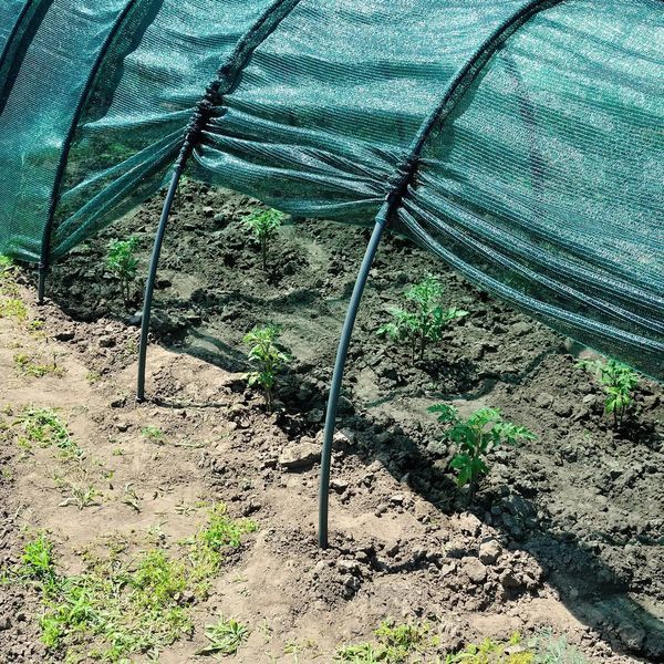 Солнцезащитная сетка для теплицы Green 2.8м для защиты растений 3_06669 фото