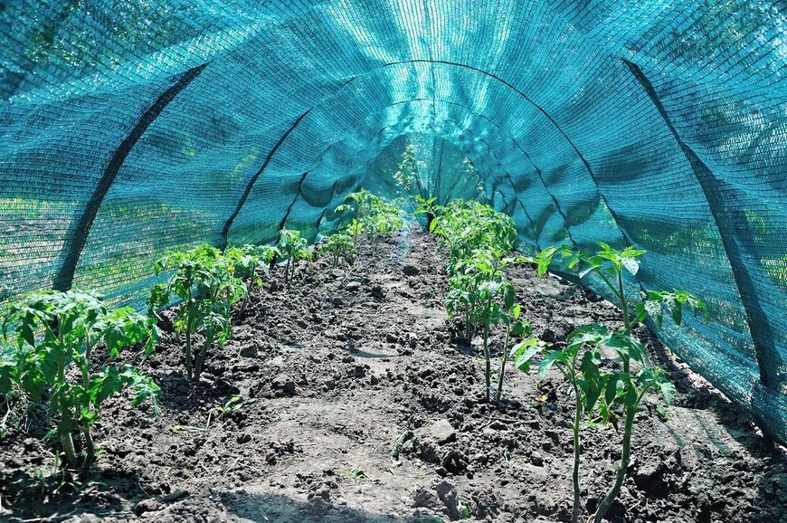 Солнцезащитная сетка для теплицы Green 2.8м для защиты растений 3_06669 фото