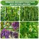Садовая арка U-образная с сеткой 160x120 см Green 3_08641 фото 8