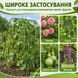 Арочна садова шпалера з нейлоновою сіткою 180x120 см Green 3_08642 фото 7
