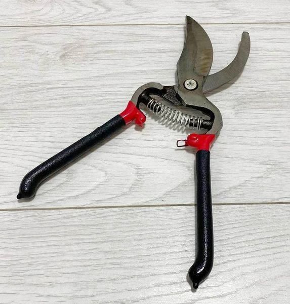 Садовий секатор Pruner 10 дюймів для обрізки чорний-червоний 7_02084 фото