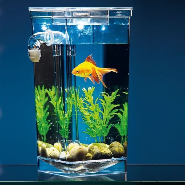 Самоочищающийся аквариум My Fun Fish 2_005517 фото