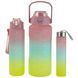 Набор спортивных бутылок 3 в 1 с разметкой 300ml/900ml/2000ml розовый 3_05423 фото 1