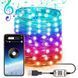 Світлодіодна гірлянда Meiq-IT 100 LED 10 м RGB з Bluetooth 3_05635 фото 1